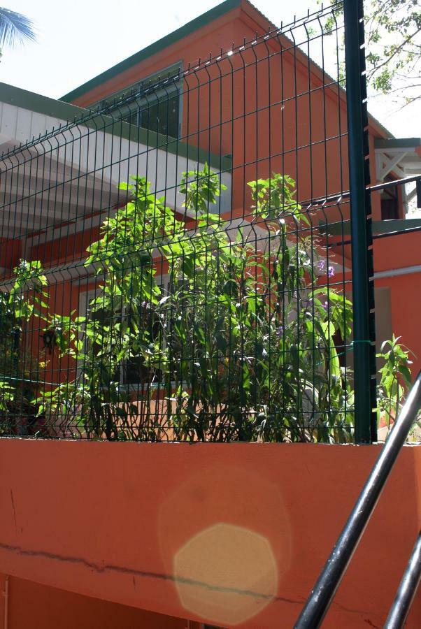 Hotel Le Cocon Le Moule Exterior foto