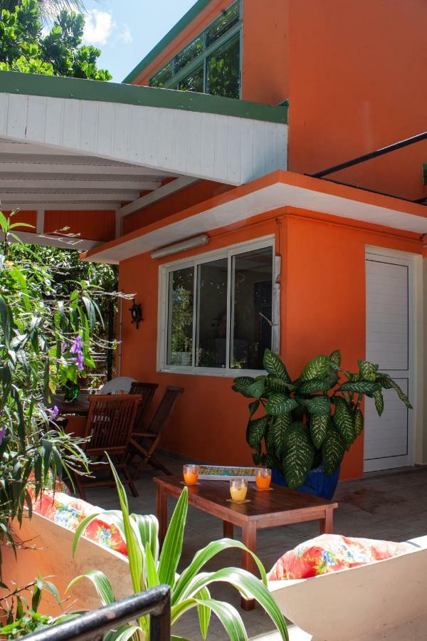 Hotel Le Cocon Le Moule Exterior foto